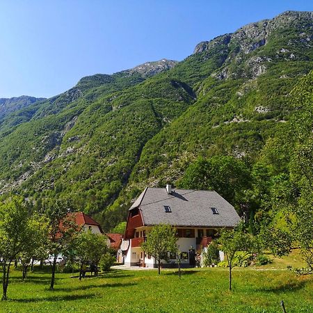 Apartment Jozi Soča Rum bild