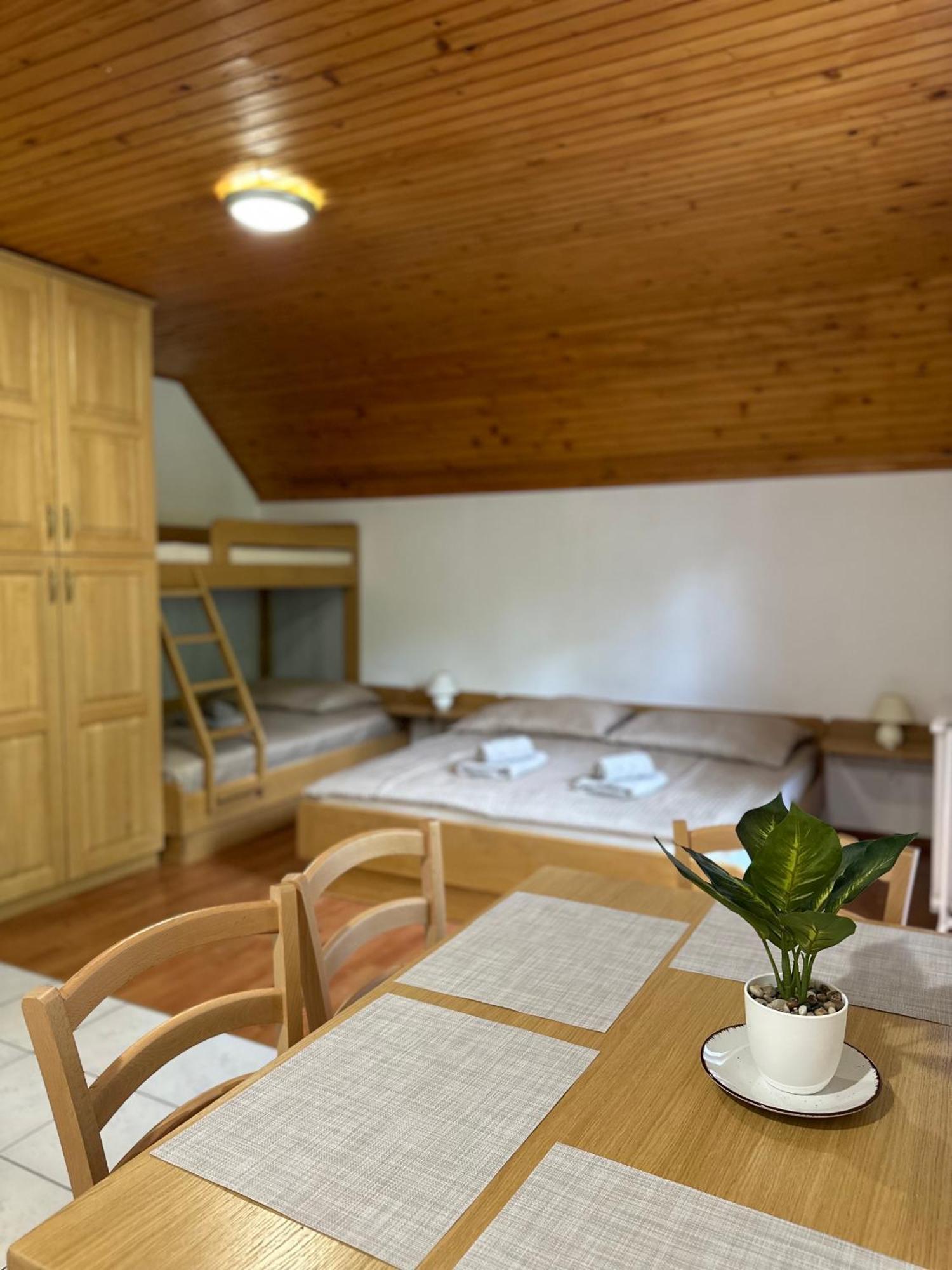 Apartment Jozi Soča Rum bild