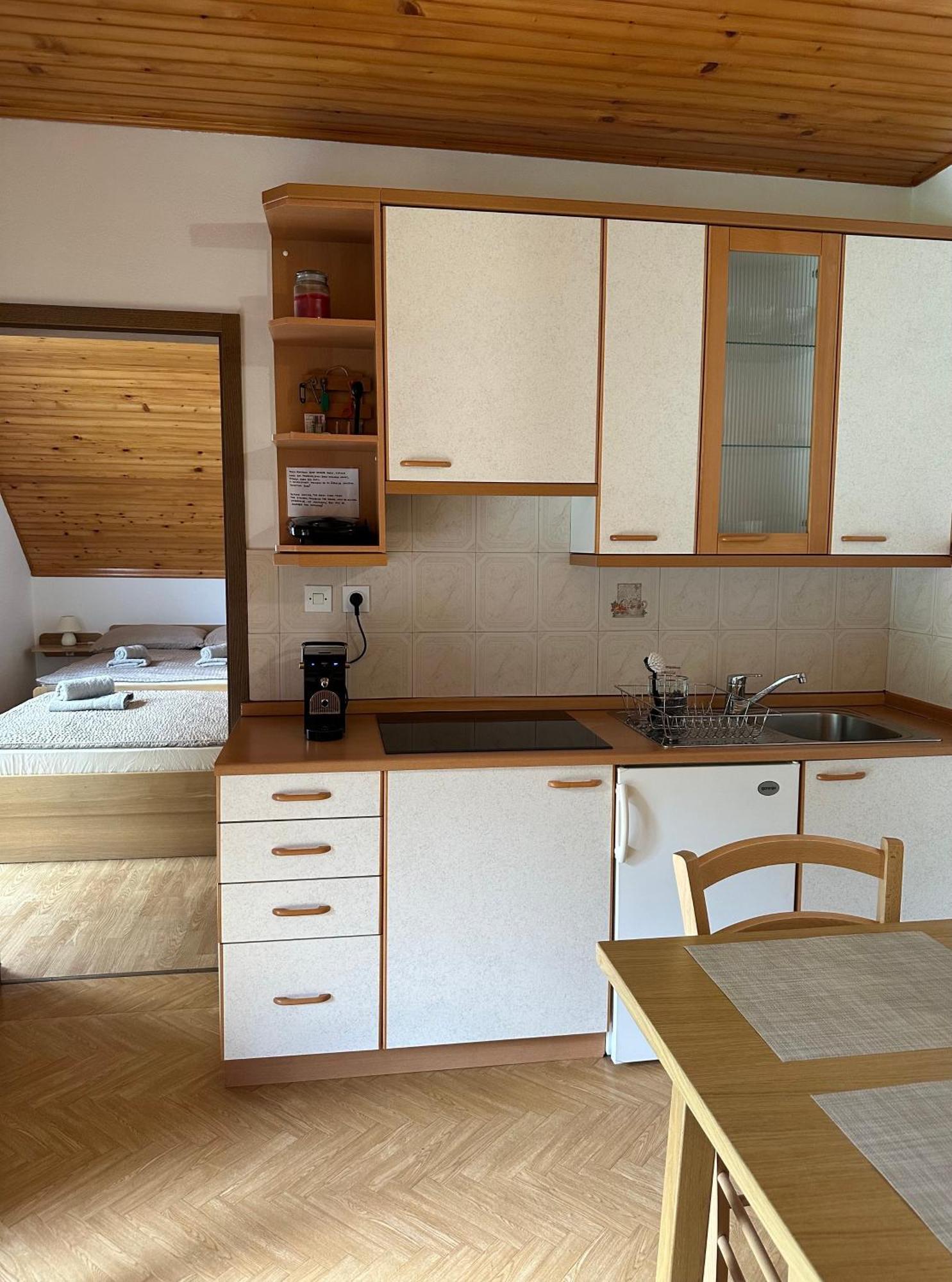 Apartment Jozi Soča Rum bild