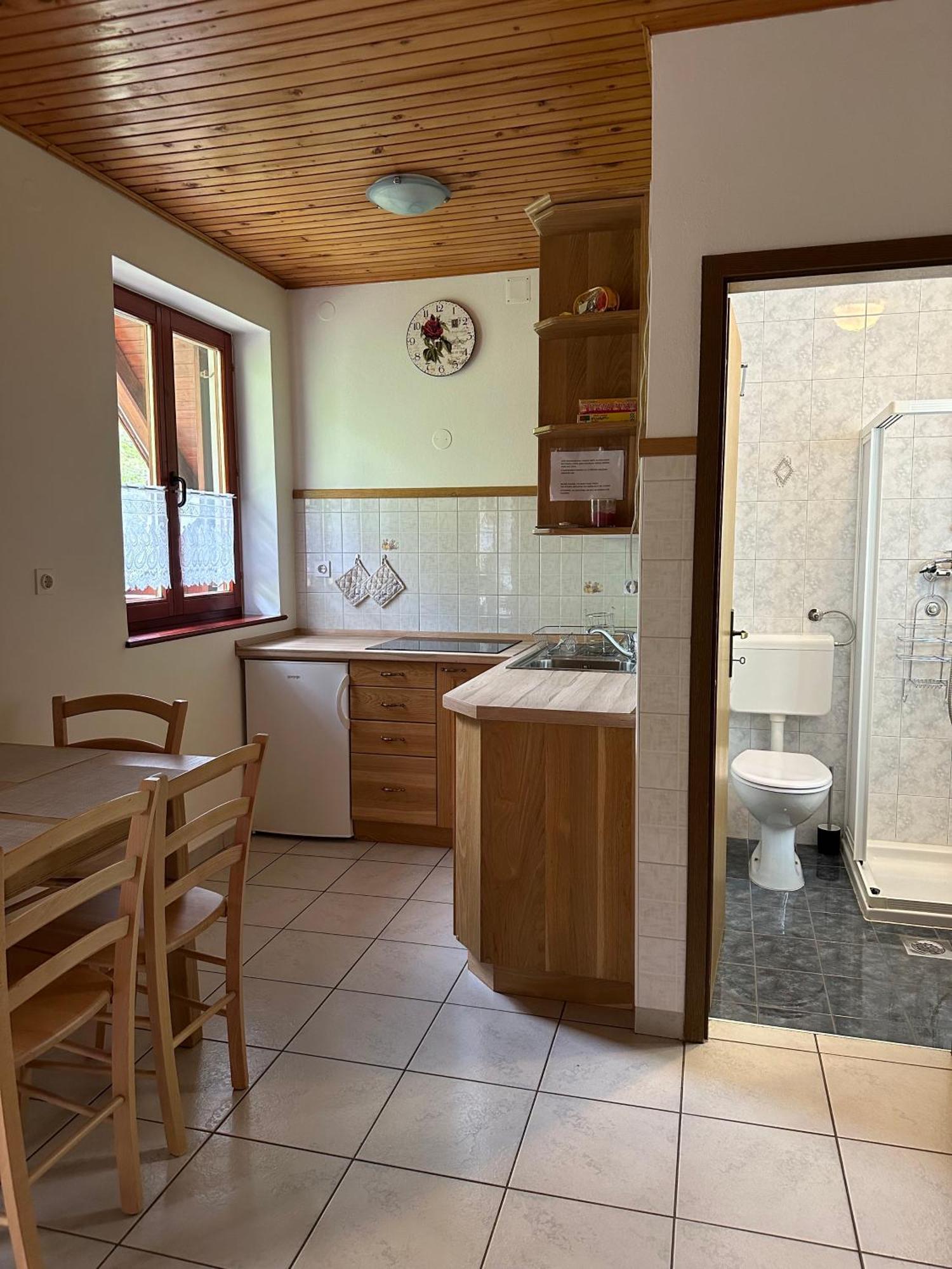 Apartment Jozi Soča Rum bild